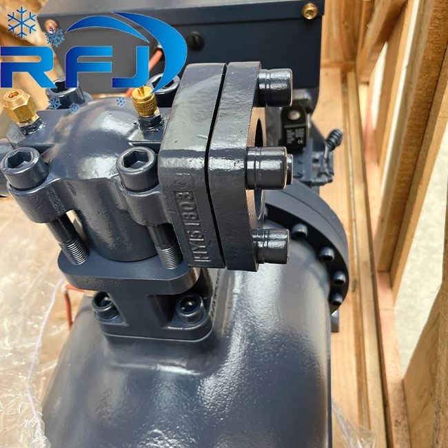 Hanbel RC2-300B-Z vintli kompressor C41M1B11480